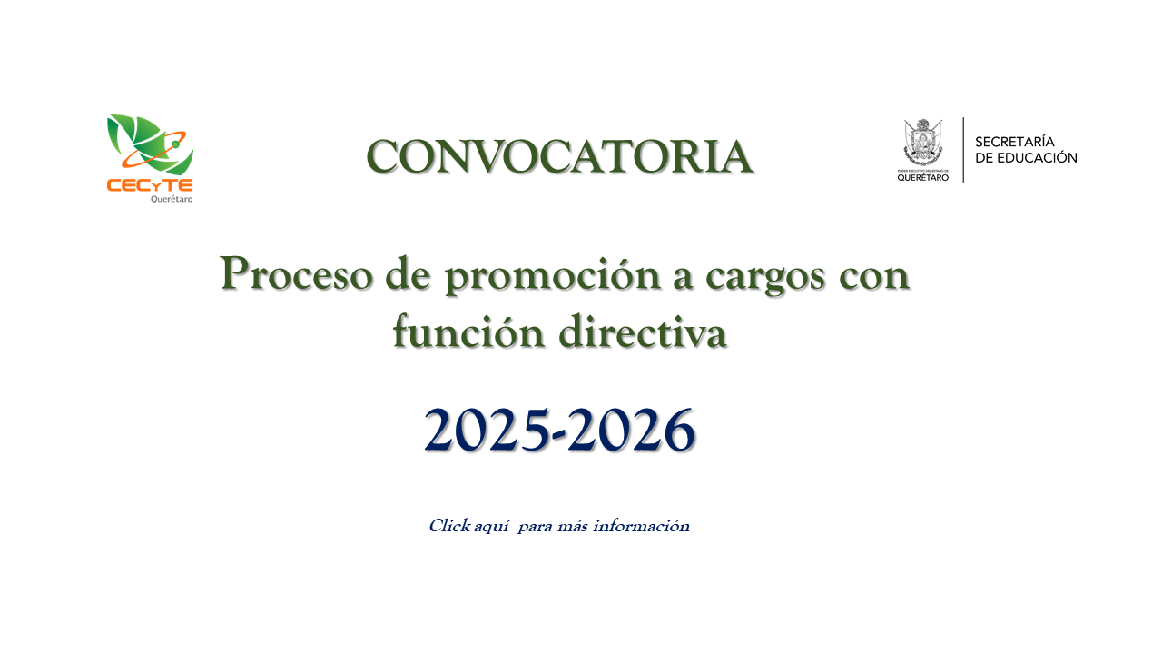 Promoción Directiva